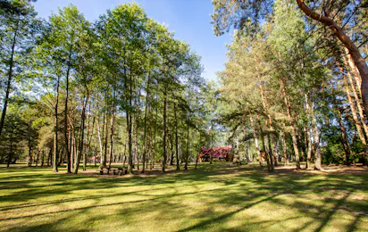 Camping Vitrūna