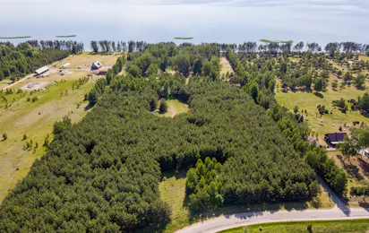 Vitrūna Camping