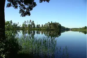 Ruhiger See mit Spiegelung des Waldes, Schilf am Ufer und Bäumen im Hintergrund.