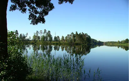 Vittsjö Camping