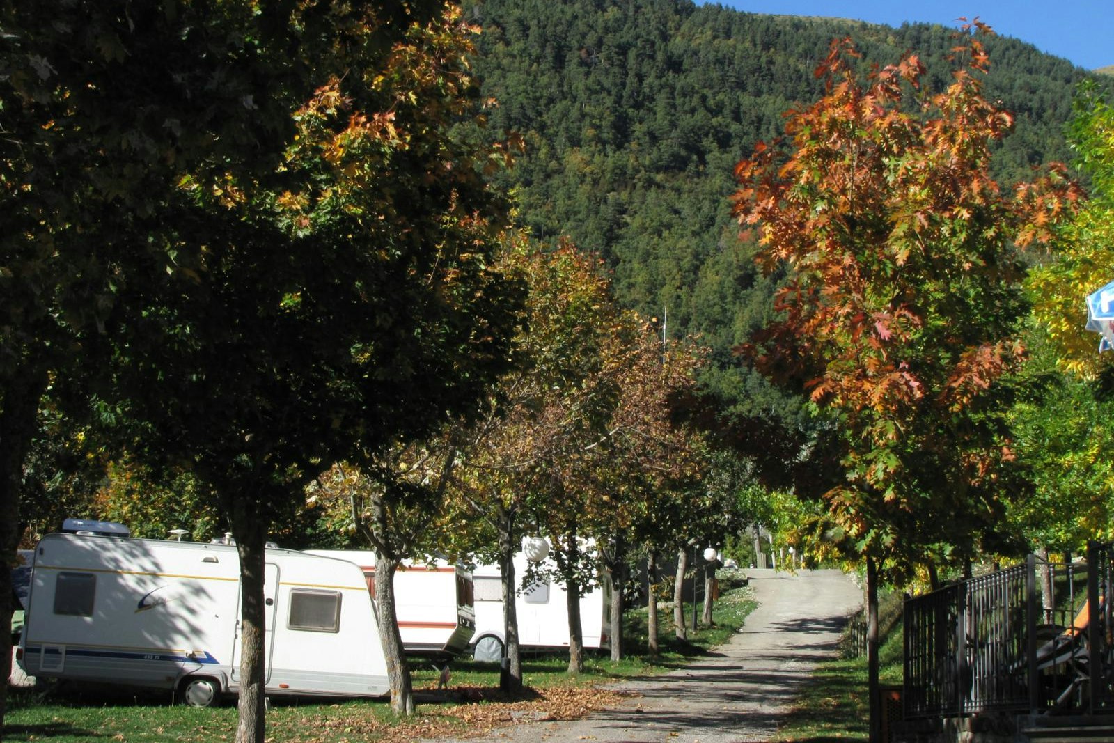 Camping Viu - Allee mit Wohnwagen auf Stellplätzen an einer Seite
