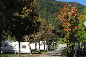 Wohnwagen auf einem Campingplatz zwischen Bäumen, mit gepflastertem Weg und Blick auf den bewaldeten Hang.