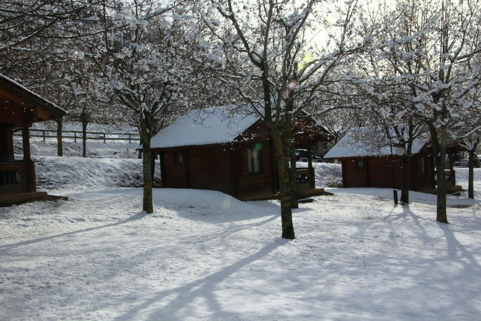 Camping, Bungalows y Hotel Viu