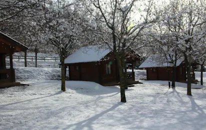 Camping, Bungalows y Hotel Viu