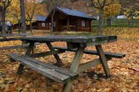 Camping Viu - Sitzbank mit einem Bungalow im Hitnergrund im Herbstlaub