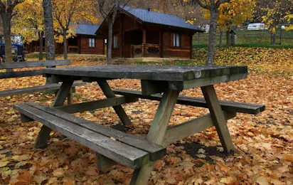 Camping, Bungalows y Hotel Viu