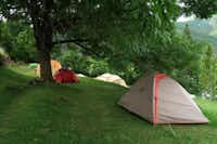 Camping Viu - Zelte unter einem Baum auf dem Campingplatz