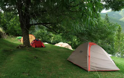 Camping, Bungalows y Hotel Viu