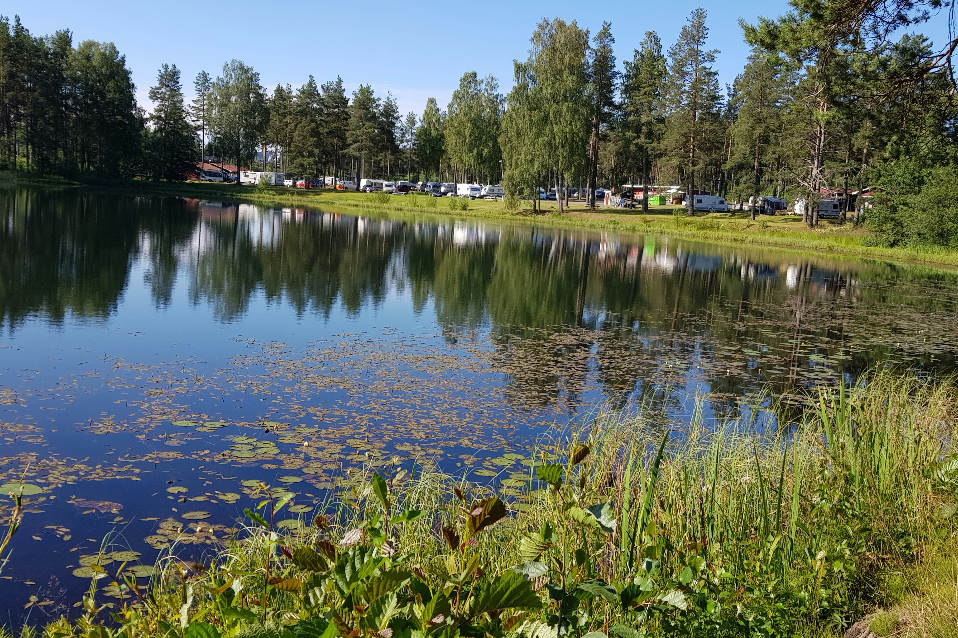 Camping Vivstavarvstjärn - Blick auf den See auf dem Campingplatz