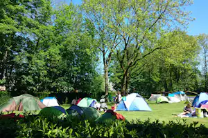 Camping Vliegenbos - Zeltwiese auf dem Campingplatz