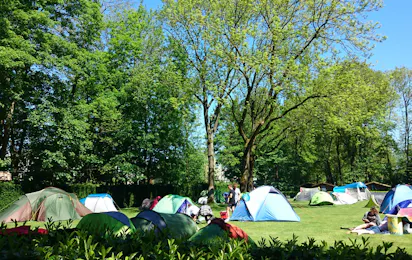Camping Vliegenbos