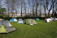 Camping Vliegenbos - Campingbereich für Zelte im Grünen 