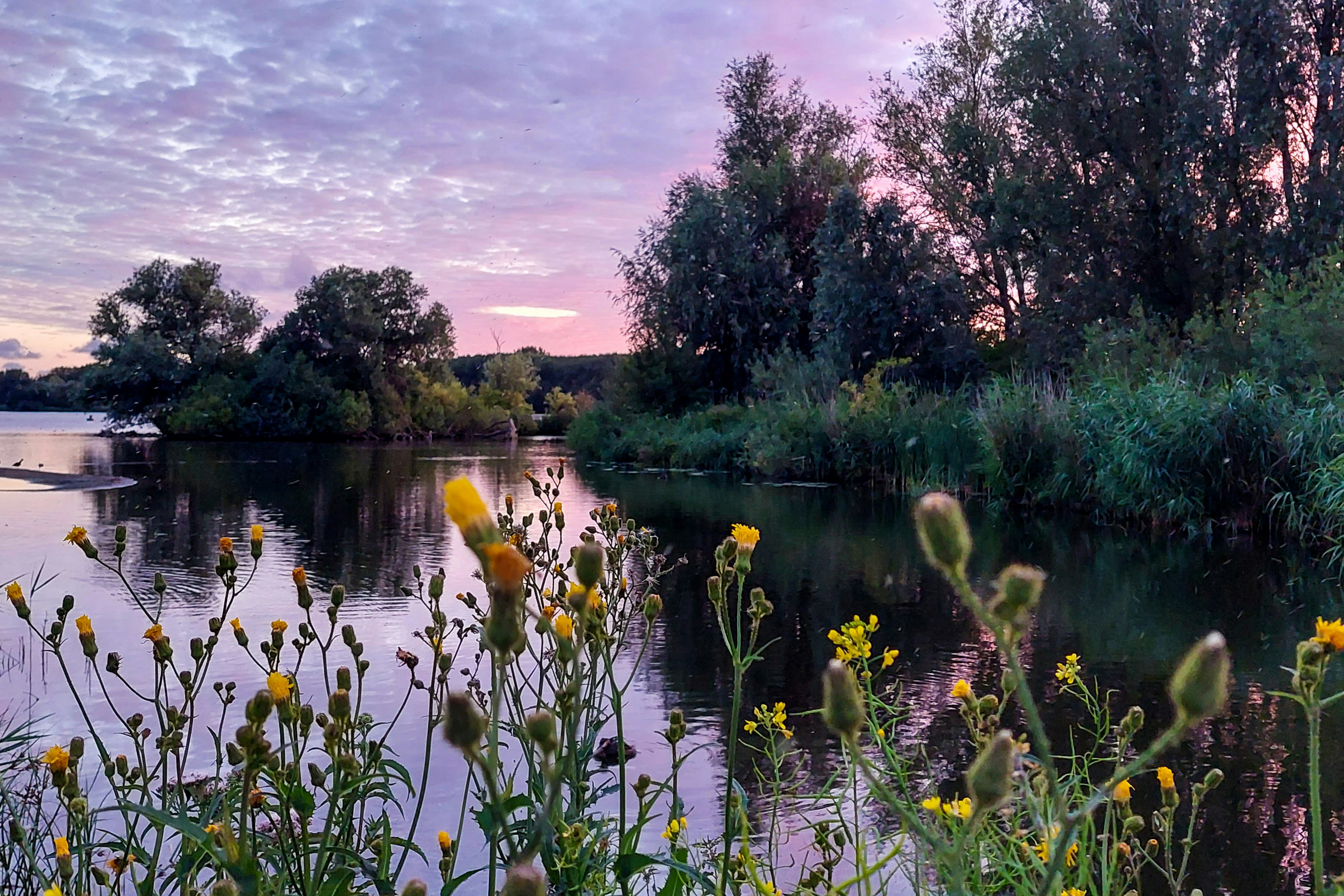 Camping Vlietland - See am Campingplatz bei Sonnenuntergang