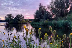 Camping Vlietland - See am Campingplatz bei Sonnenuntergang
