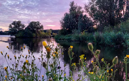 Camping Vlietland