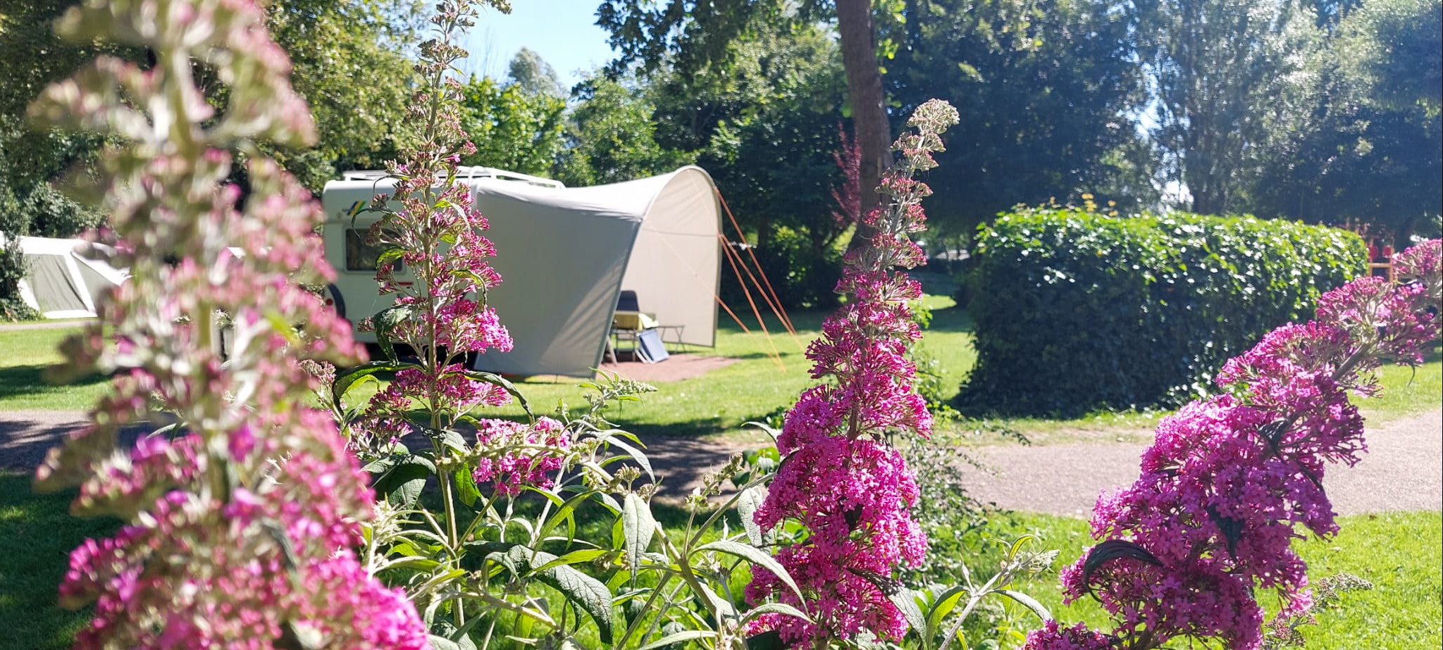 Camping Vlietland - Stellplätze im Grünen
