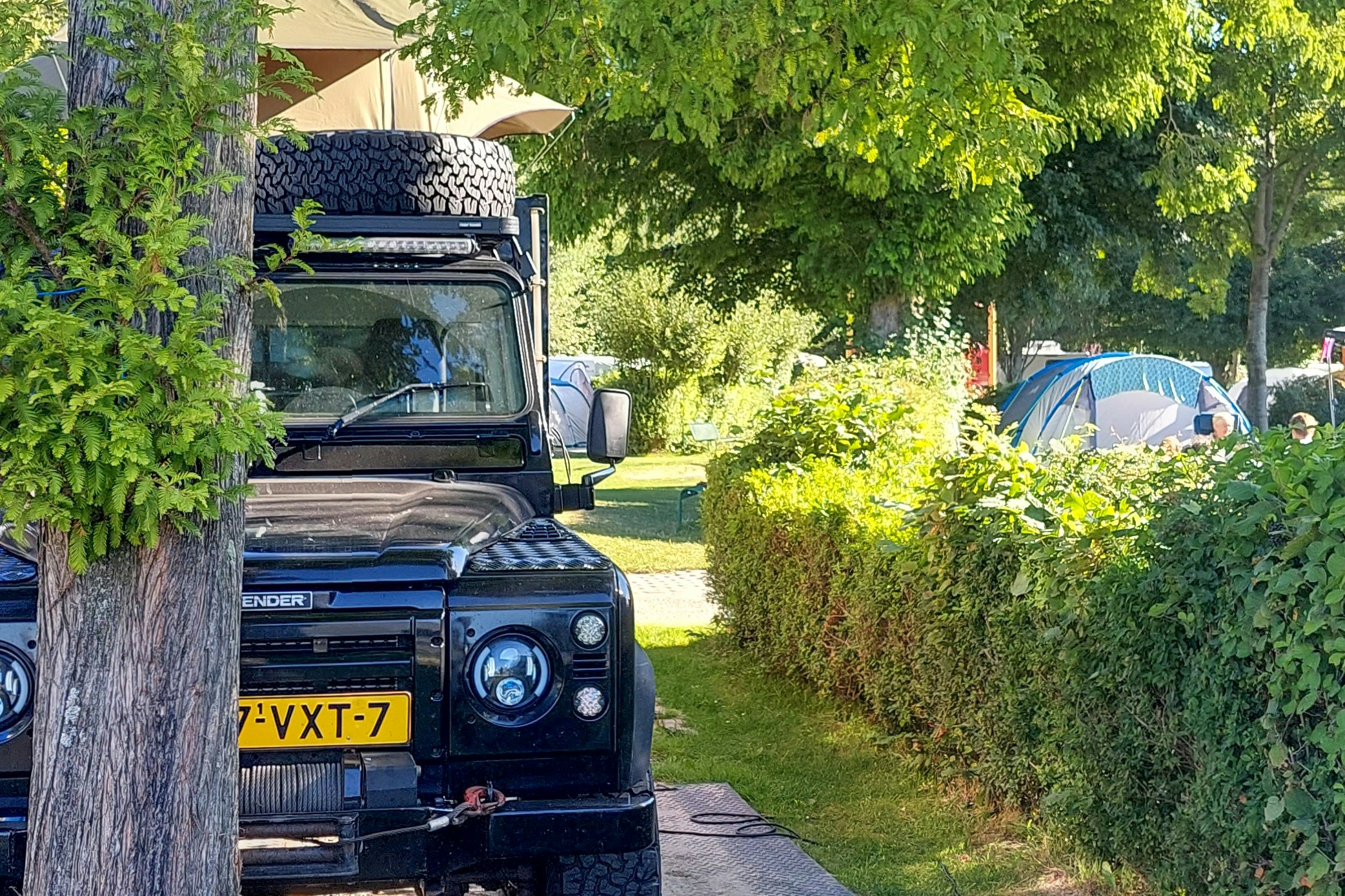 Camping Vlietland - Zelt- und Stellplätze auf dem Campingplatz