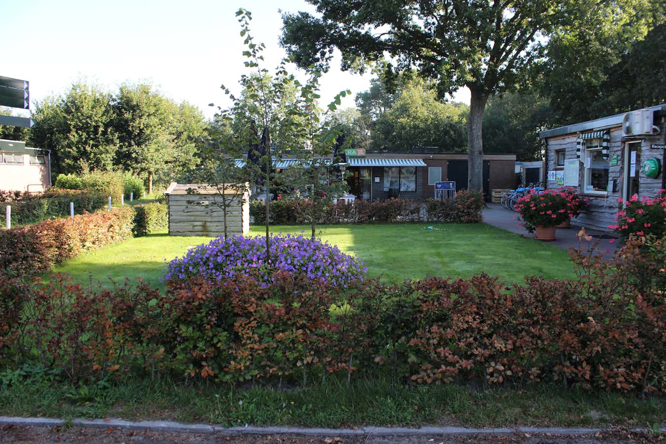 Camping Bloemendaal | ANWB Camping