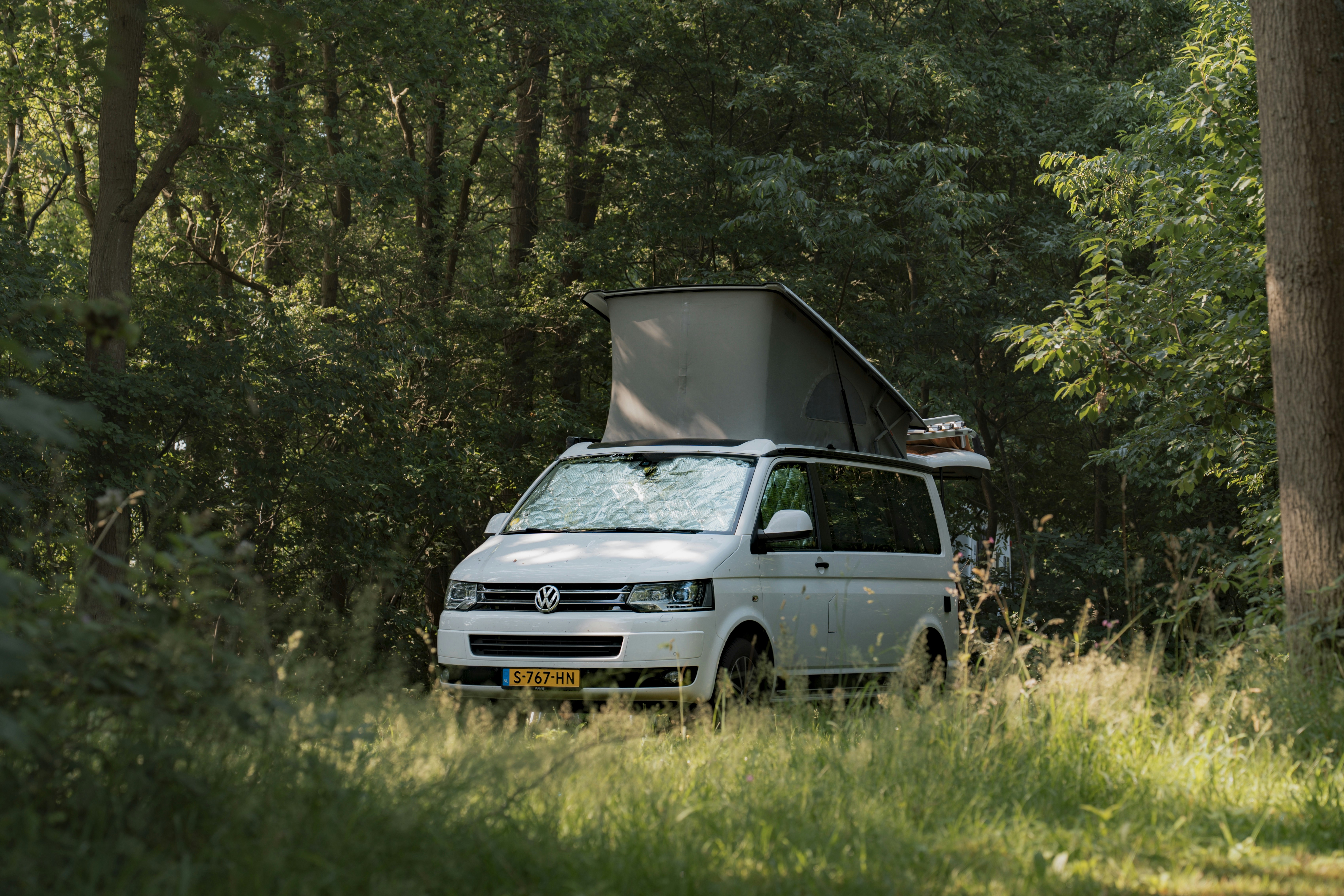 Weißer Campervan mit Aufstelldach steht im Grünen zwischen Bäumen, umgeben von Gras und Buschwerk.