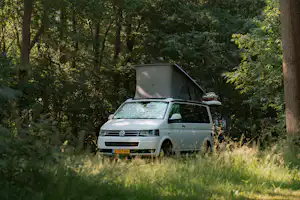 Weißer Campervan mit Aufstelldach steht im Grünen zwischen Bäumen, umgeben von Gras und Buschwerk.