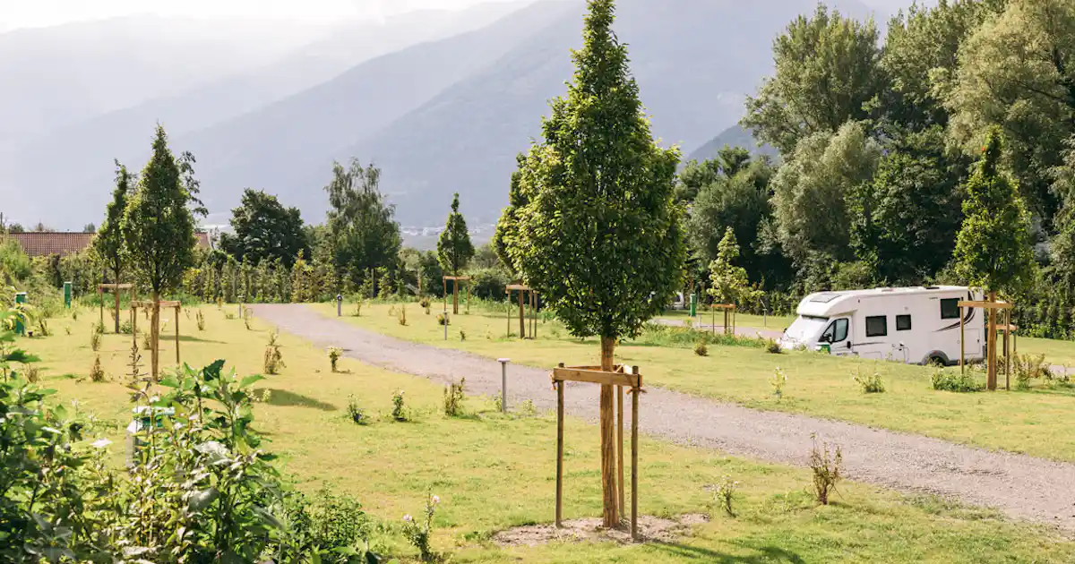 Camping Vogelsang photo 5
