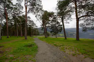 Waldweg auf einem Campingplatz mit grüner Wiese, hohen Bäumen und Blick in die Ferne.