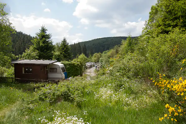 Camping Vossmecke