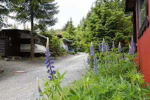 Die Plätze der Mietwohnwagen und das Miethaus Falkenhütte des Camping Vossmecke in Winterberg-Niedersfeld