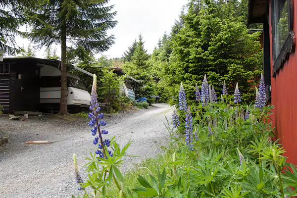 Camping Vossmecke