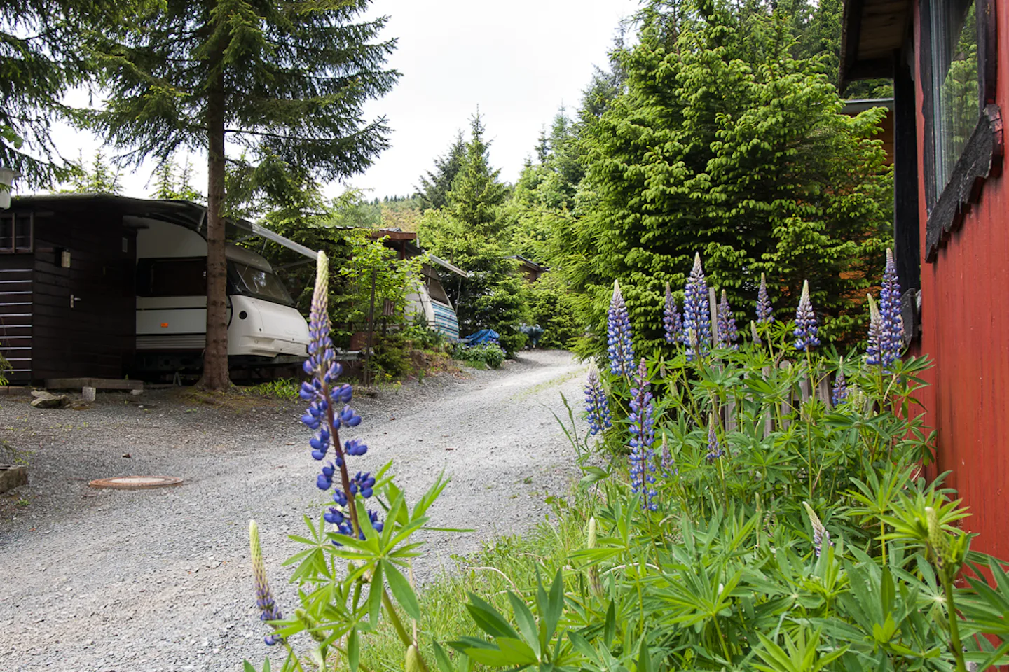 Camping Vossmecke