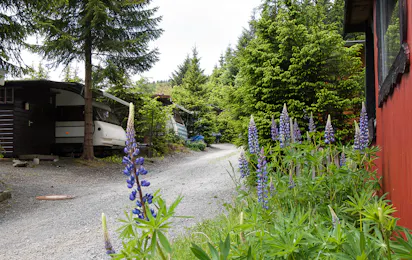 Camping Vossmecke