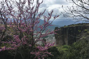 Camping Vrachos Kastráki - Blick vom Campingplatz auf Meteora