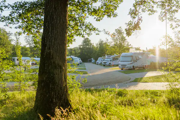 Camping Vreehorst