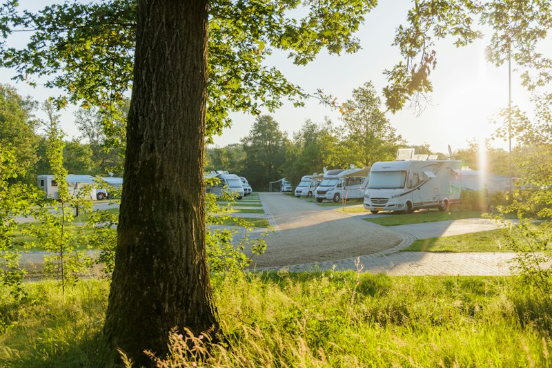 Camping Vreehorst (foto 1, bron: ANWB Camping)