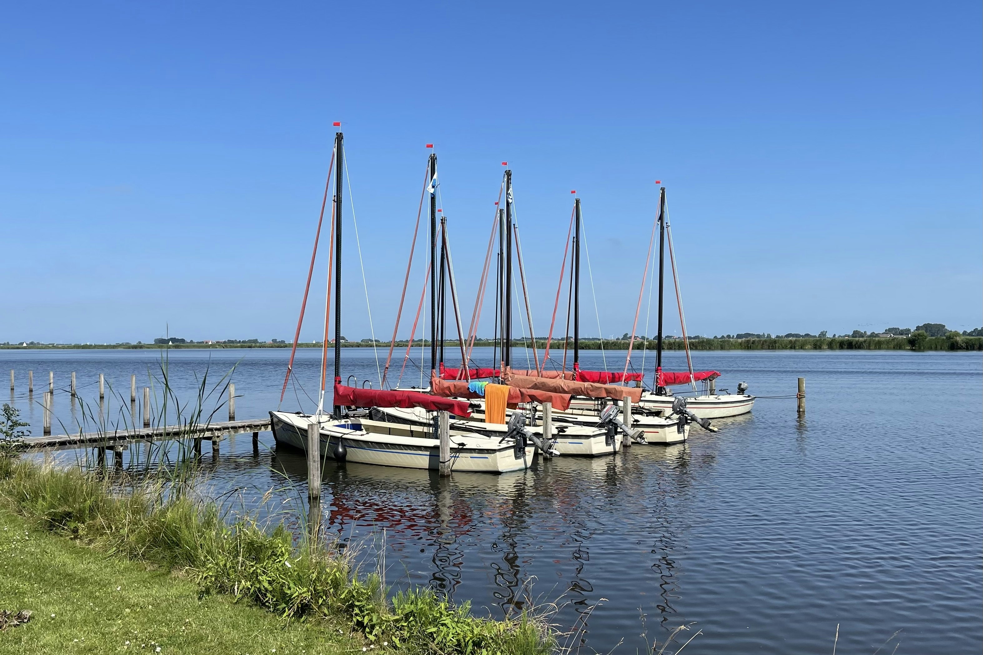 Segelboote mit roten Planen liegen am Steg im ruhigen Wasser, im Hintergrund Schilf und grünes Ufer.