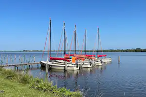 Segelboote mit roten Planen liegen am Steg im ruhigen Wasser, im Hintergrund Schilf und grünes Ufer.