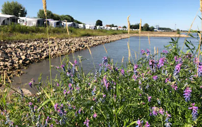 Camping Waalstrand