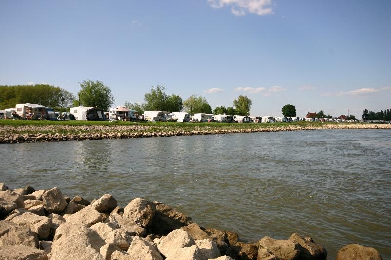 Camping Waalstrand - Standplätze auf dem Campingplatz