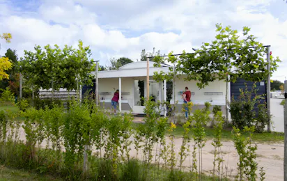 Camping Waddenzee