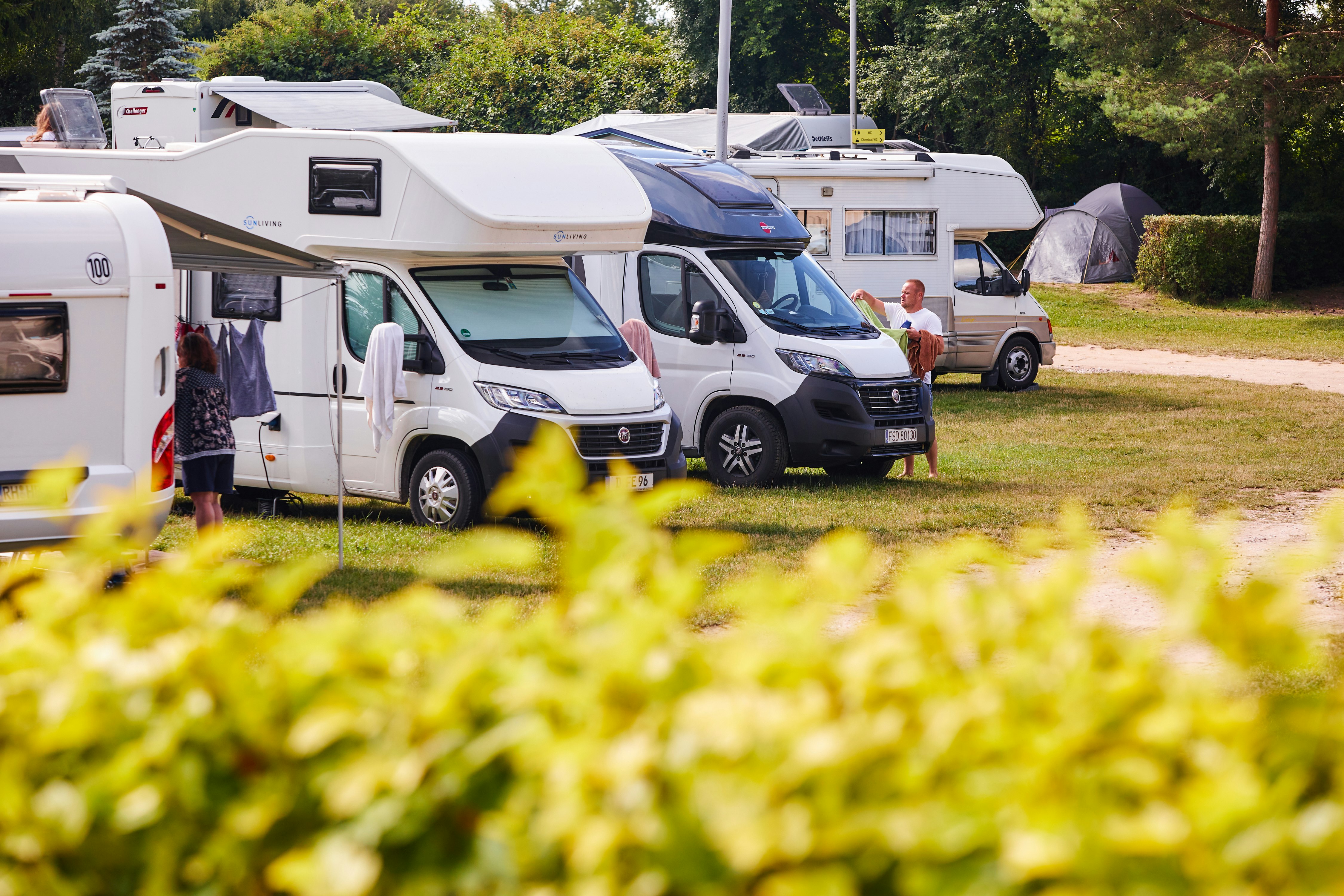 Reihe von Wohnmobilen auf einem Campingplatz, mit Gras im Vordergrund und Bäumen im Hintergrund.