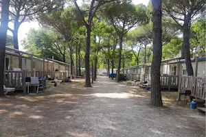 Camping Waikiki - Mobilheime vom Campingplatz mit Veranden zwischen Bäumen
