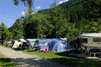 Camping Waldbad  -  Wohnwagen- und Zeltstellplatz auf grüner Wiese auf dem Campingplatz