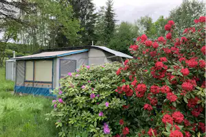 Campingzelt am Rand eines Blumenbeets mit roten und pinken Blüten, umgeben von Wiese und Bäumen im Hintergrund.