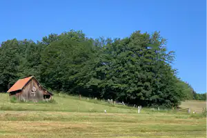 Eine kleine Campinghütte mit rotem Dach steht auf einer Wiese am Waldrand, umgeben von Bäumen und grünem Hang.
