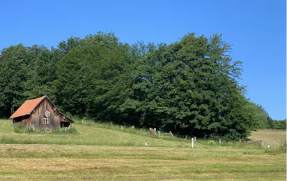 Camping Waldberg