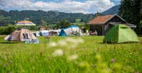 Camping Waldesruh - Blick auf die Zeltwiese auf dem Campingplatz