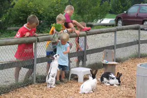 Camping Waldhof - Kinder am Streichelzoo auf dem Campingplatz