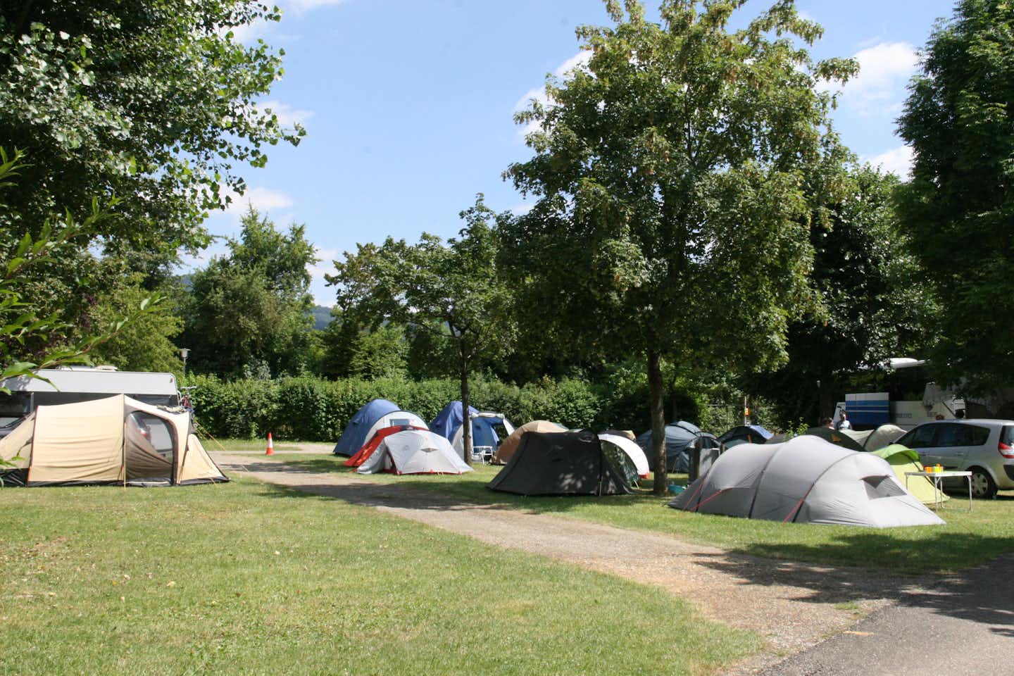 Camping Waldhort  -  Zeltplatz vom Campingplatz zwischen Bäumen