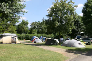 Camping Waldhort - Zeltplatz vom Campingplatz zwischen Bäumen