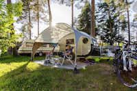 Camping Waldsee - Schattiger Zeltplatz und Wohnwagenstellplatz zwischen den Bäumen auf dem Campingplatz